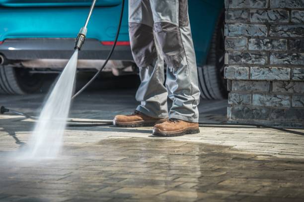 Best Pre-Holiday Cleaning  in Cheltenham Village, PA